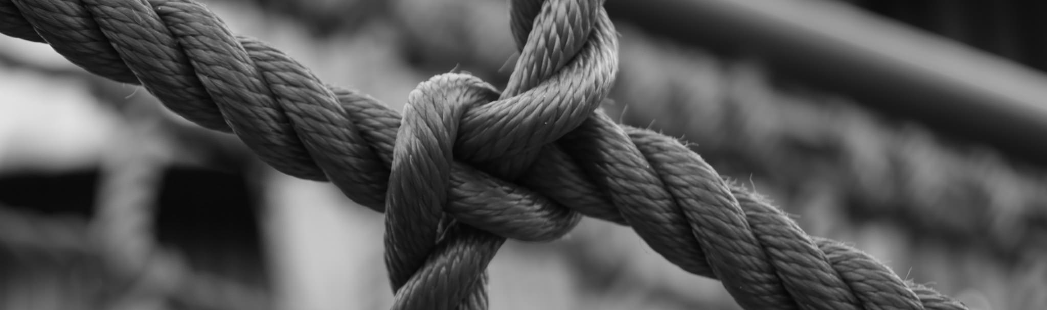 Task Link