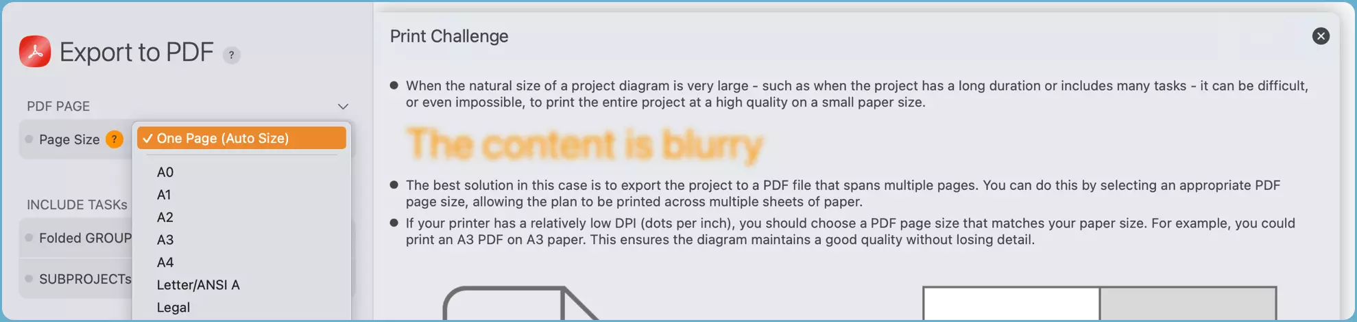 Page Size Option
