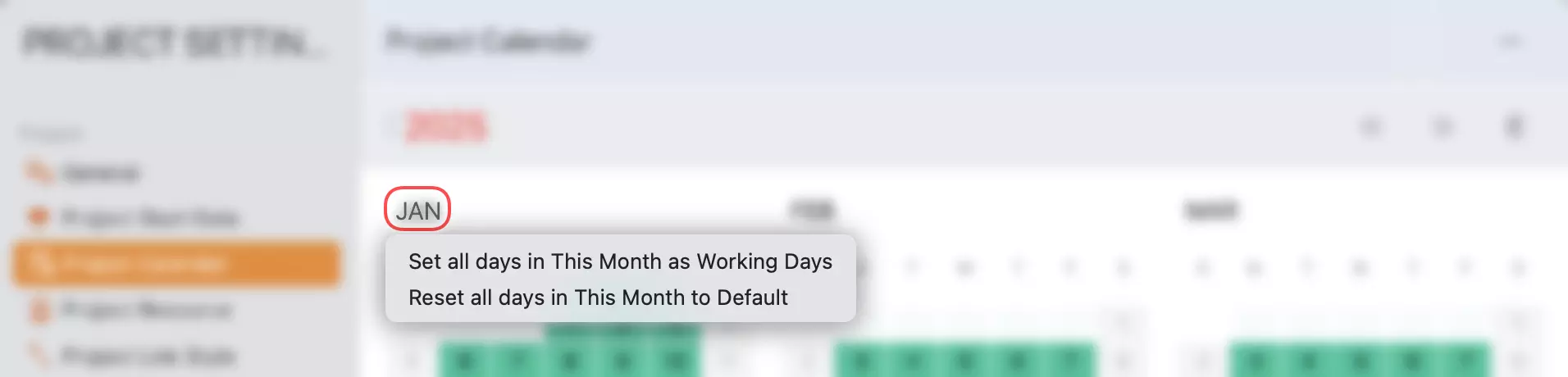 Project Settings - Calendar