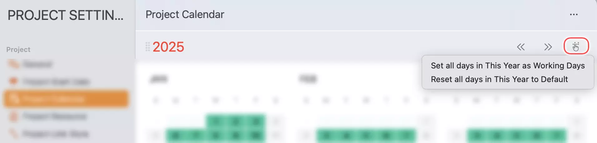 Project Settings - Calendar