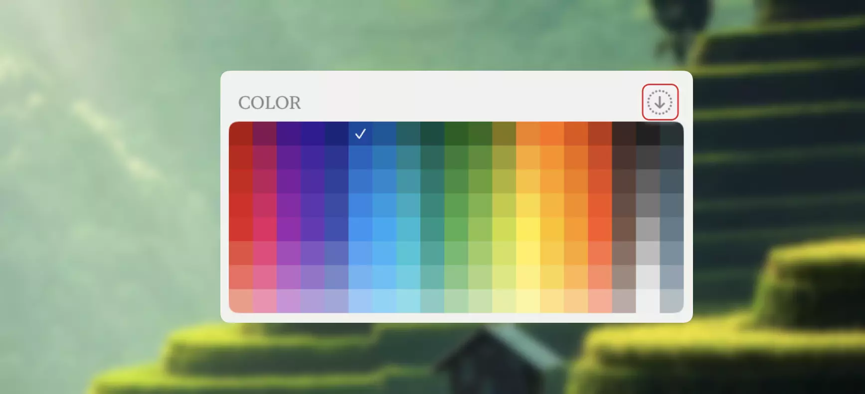 Color Field